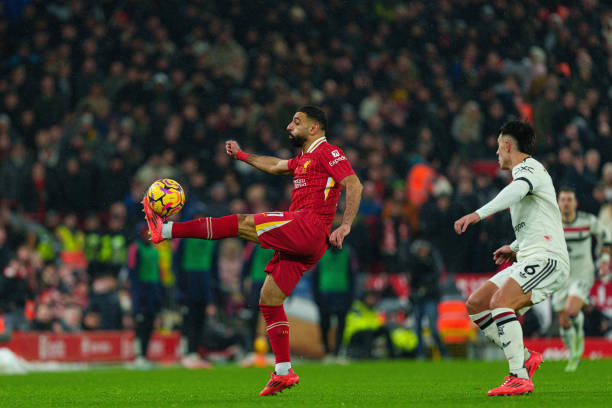 数据显示 数据显示